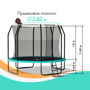 Батут Wallaby Sydney 10 FT