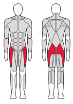 Тренажер для отводящих мышц бедра Fitex Pro FTX-7323